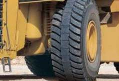 cat367
