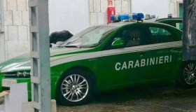 Le auto dei Carabinieri cambiano colore: saranno verdi per i forestali