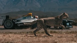 La Formula E sfida il ghepardo