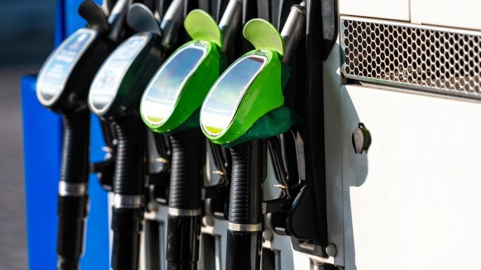 Alleanza Globale Biocarburanti: l’Italia entra a farne parte