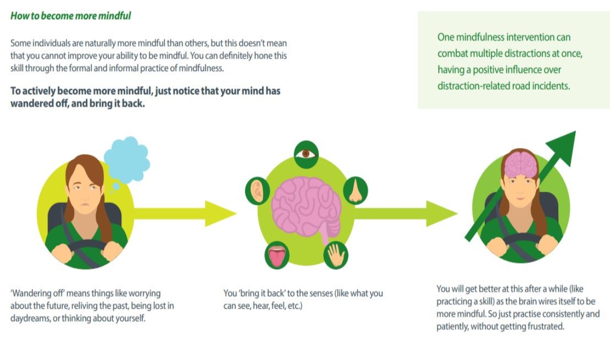 schema mindfulness
