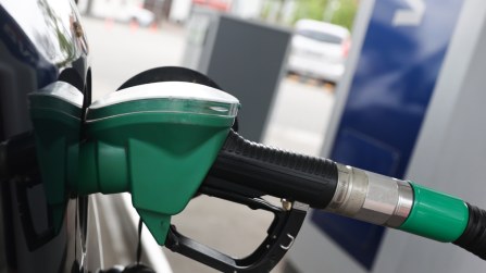 Transizione elettrica, l’Italia mira al biocombustibile: si accendono le critiche