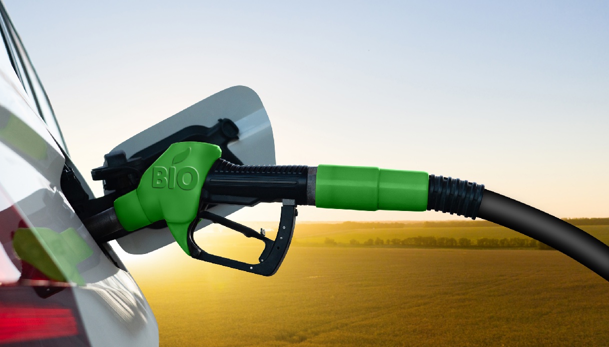https://www.virgilio.it/motori/wp-content/uploads/sites/4/2025/06/Cosa-sono-i-biocarburanti.jpg