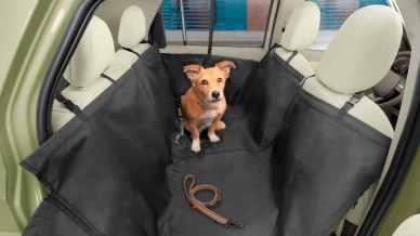 Auto adatte agli animali: accessori super pet-friendly